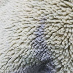 ろんまる
