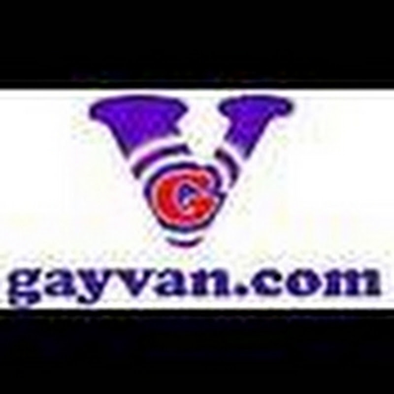 Gayvanguy