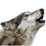 LDJMDOf_liU-channel-avatar-Русские тайны