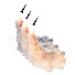 pnqj8fOzZkI-channel-avatar-RUINS