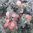 @NoorAhmed-gw6qx
