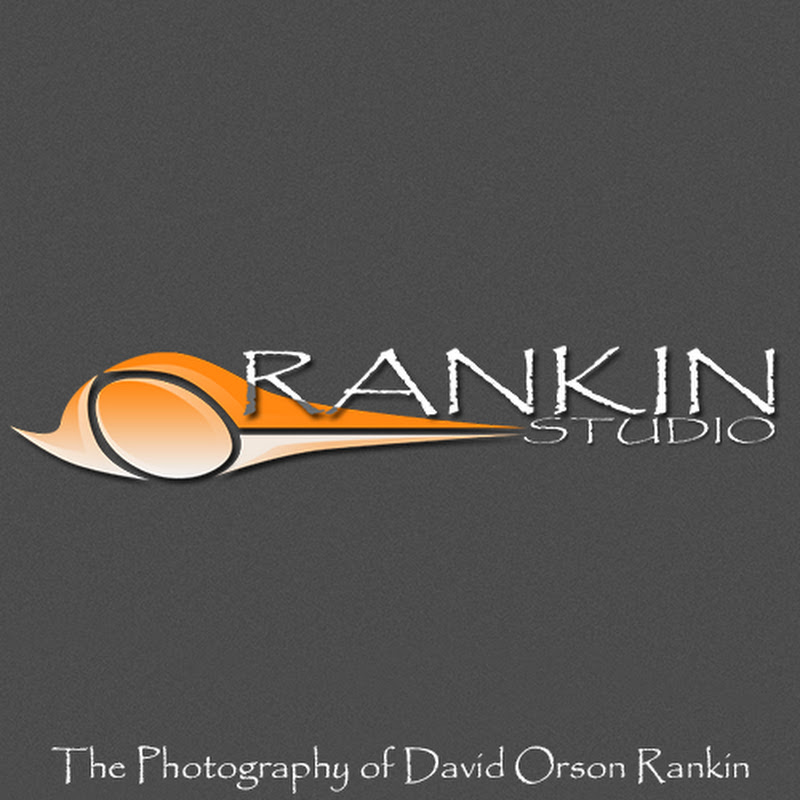 rankinstudio