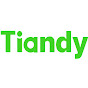 Tiandy Overseas logo