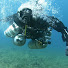 _wqhRKLmmWU-channel-avatar-Diver by Design
