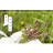@TV-we4hd