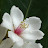 @다정큼-u5q