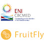 Fruitflynet-ii /ENICBCMED logo