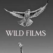 Cherins Wild Films