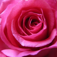 jasmine e profile image