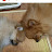 @user-ux3my9pl3o