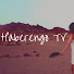 Q7se6gTRGHU-channel-avatar-Haberengo TV