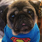 Bubblebecca Pugs logo