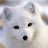 @quyenlieu2536