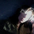 a6D6ymjtd0E-channel-avatar-Lisa Lenarz