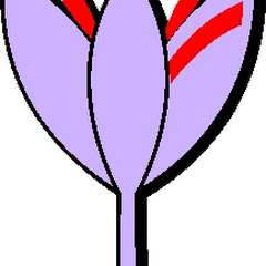 Zarzuela La Solana