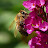 @meister1719 Avatar