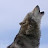 خربشات صيد Hunting 2