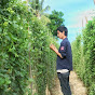 ไร่ชายเค k Image Thumbnail