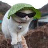 Автор