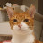 @soomeows