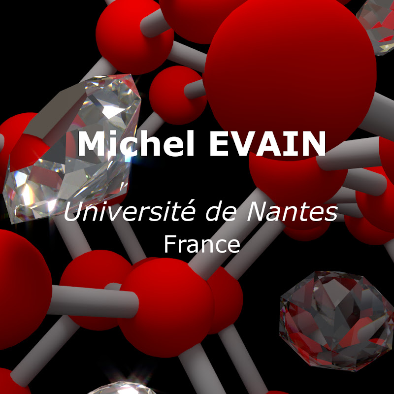 Michel Evain icon