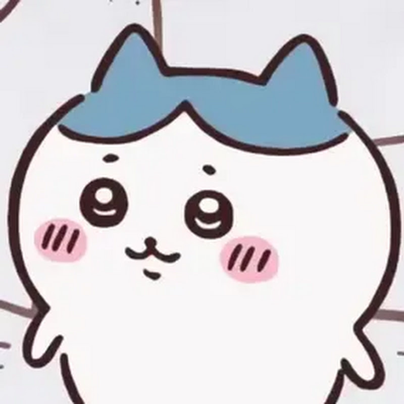 Hachi