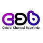 Central Charcoal Babelindo logo