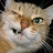 @gargos669's avatar