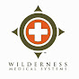 Wilderness Medical Systems, LLC logo