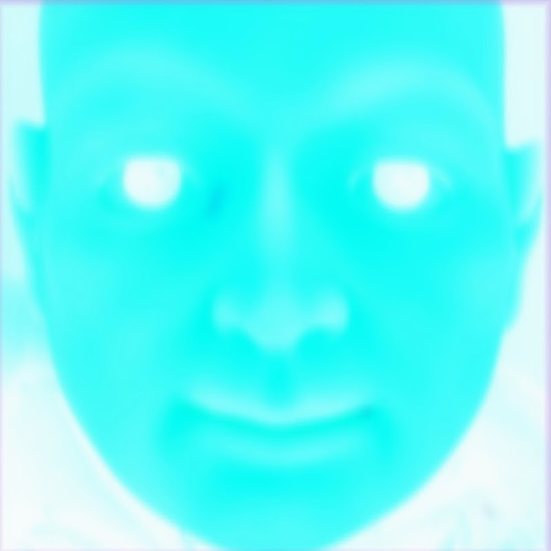 Hugo Faces