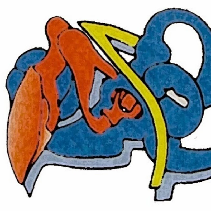 Arnaud Devèze Otoneurologie.Marseille