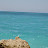 @effievlachos4915's avatar