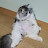 @고양이집사-q9d