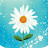 @들꽃-q7j