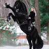 Автор