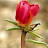 @jc-fb9gr