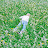 @PHANTOM-rc7fx