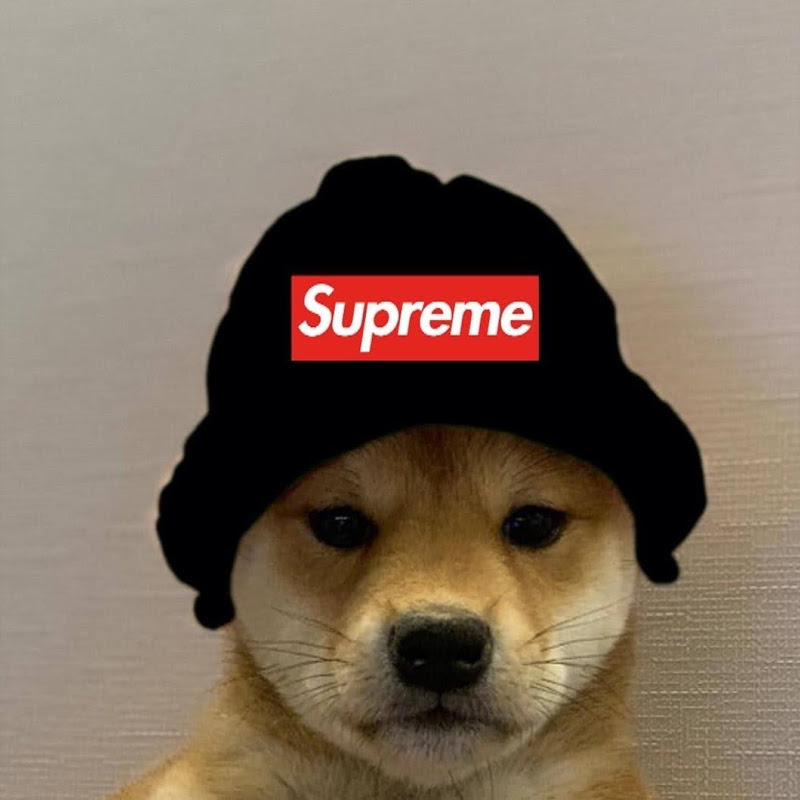 BETA Boyz