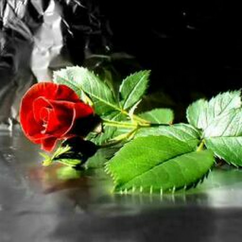 Kaif Music