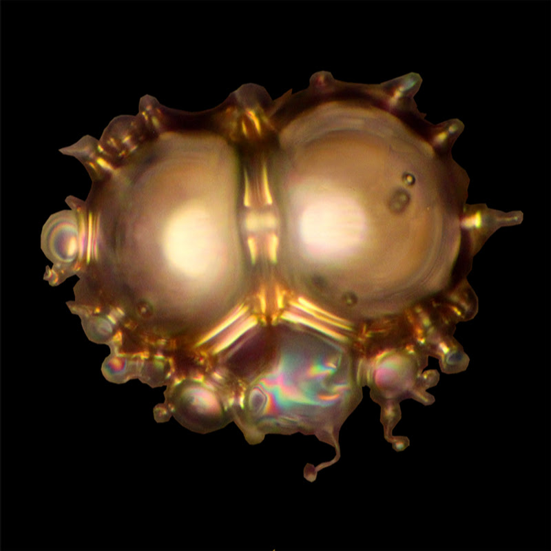 chemicum icon