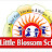 Little Blossom School, Dharangaon