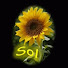 Xh_8cjn_2QM-channel-avatar-Sol Flores