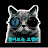 @달이보는고양이