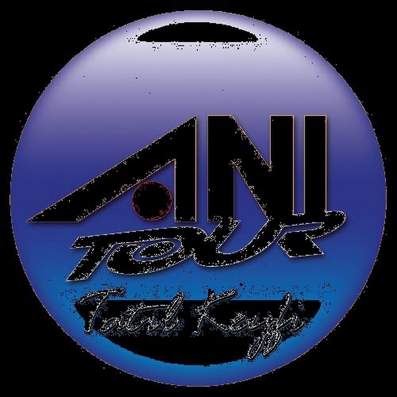 TheANITUR