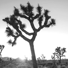 Live Konzerte von Achtung Baby