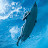 @coreyroberts316's avatar