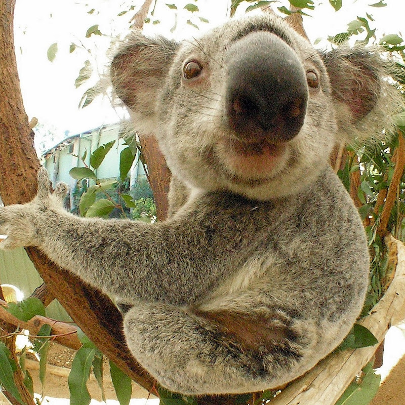 Down Under Endeavours