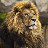 @قلبالأسد-ه4خ