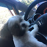 Автор