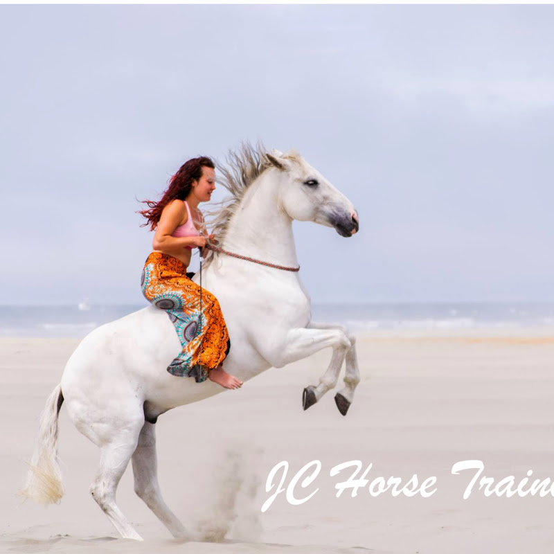 Oreoliberty [JC Horse Training] icon